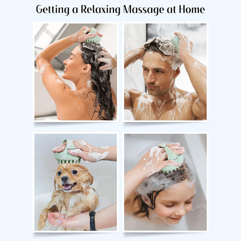 HEETA Scalp Massager Hair Growth with Soft Silicone Bristles to Remove Dandruff and Relieve Itching, Shampoo Brush for Hair Care & Relax Scalp, Scalp Scrubber for Wet Dry Hair